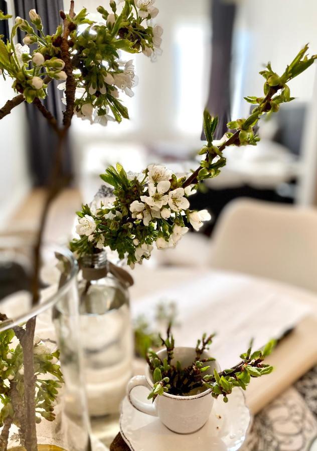 Cesis Boulevard Apartments Экстерьер фото