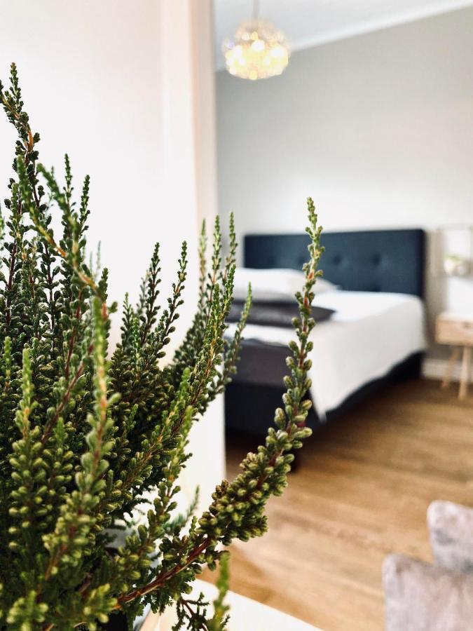 Cesis Boulevard Apartments Экстерьер фото